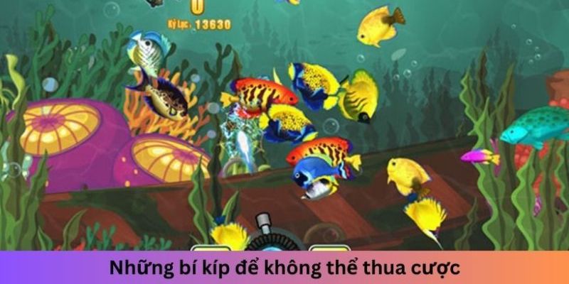 Mẹo chơi bắn cá Xin88 hữu ích