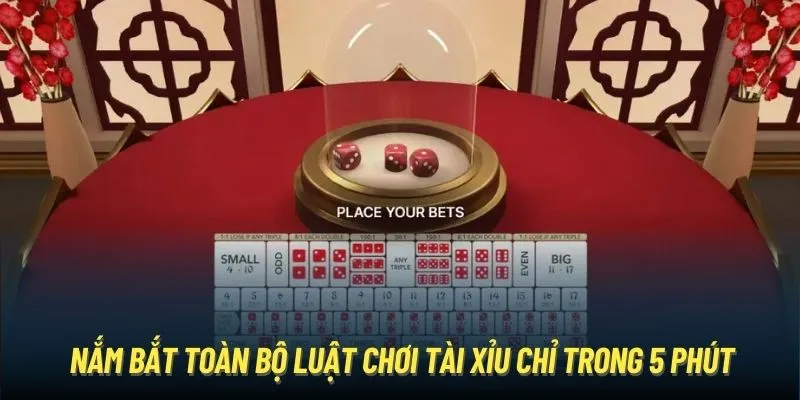 Nắm bắt toàn bộ luật chơi tài xỉu chỉ trong 5 phút