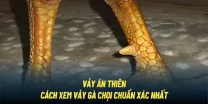 Vảy án thiên